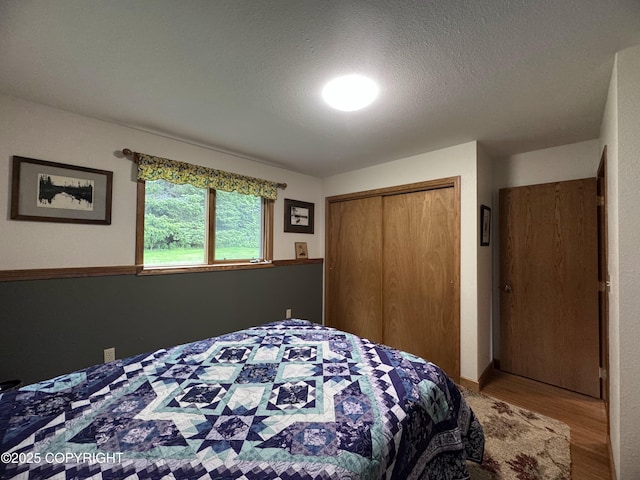 34008 Orlander Ave, Seward, AK 99664 - bedroom with wood finished floors, a closet, and a textured ceiling