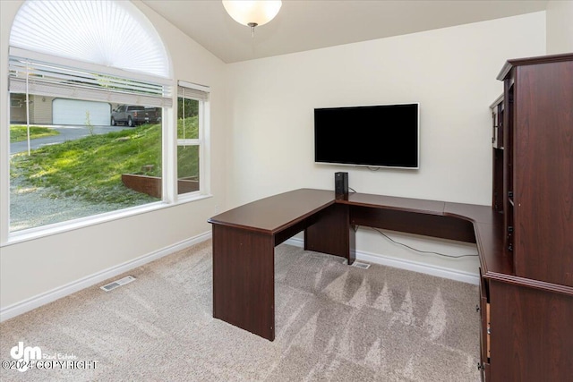 17231 Alice Loop, Eagle River, AK 99577 - unfurnished office with carpet flooring and lofted ceiling