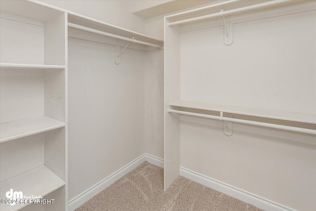 17231 Alice Loop, Eagle River, AK 99577 - spacious closet featuring carpet