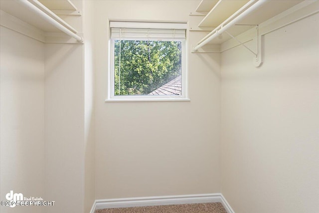 17231 Alice Loop, Eagle River, AK 99577 - spacious closet featuring carpet