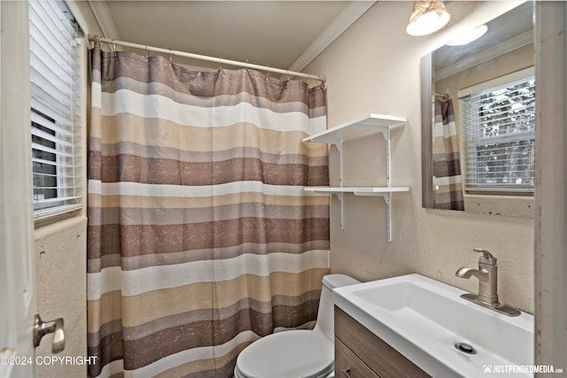 19237 Beverly Ave, Chugiak, AK 99567 - bathroom featuring vanity, crown molding, a textured wall, healthy amount of natural light, and a shower with curtain