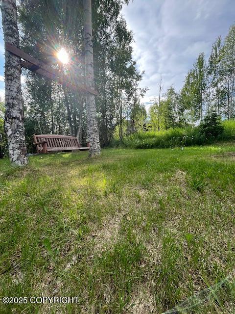 19237 Beverly Ave, Chugiak, AK 99567 - view of yard