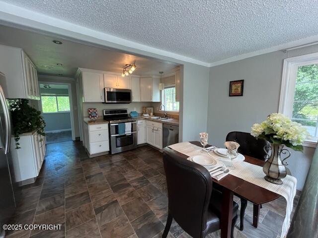 19237 Beverly Ave, Chugiak, AK 99567 - photo 6