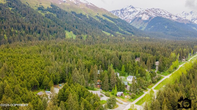 1135 Alyeska Hwy, Girdwood, AK 99587 - photo 21