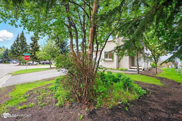 10270 Sextant Cir, Anchorage, AK 99515 - view of yard
