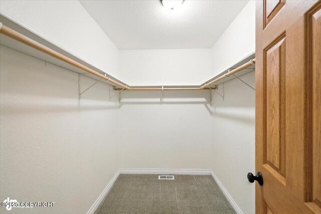 7693 E Aspen Ridge Rd, Wasilla, AK 99654 - photo 31