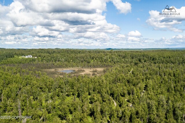 19652 W Blue Goose Rd, Wasilla, AK 99654 - photo 3