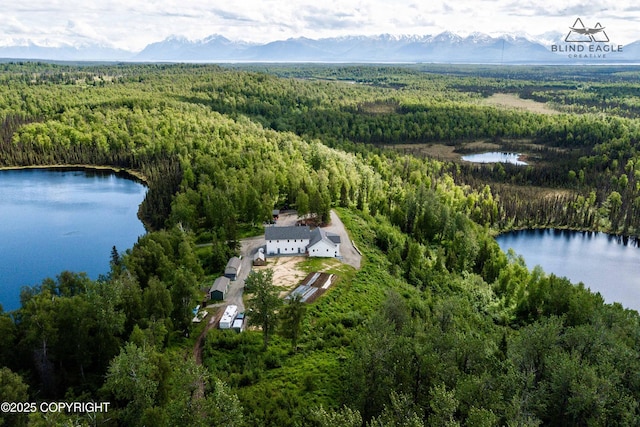 19652 W Blue Goose Rd, Wasilla, AK 99654 - photo 1