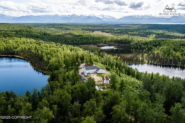 19652 W Blue Goose Rd, Wasilla, AK 99654 - photo 6