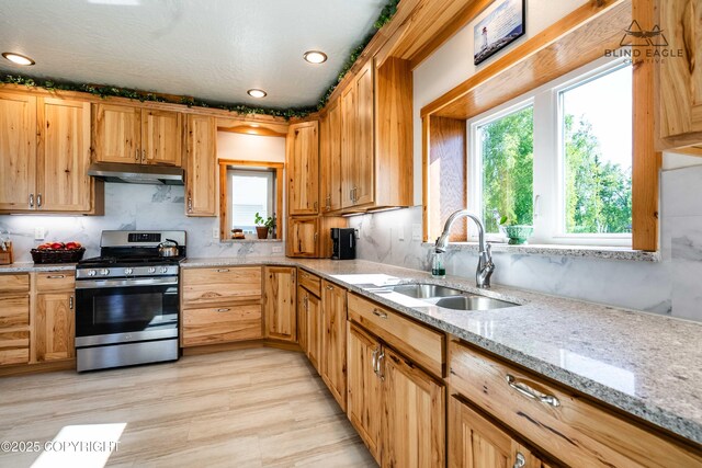 19652 W Blue Goose Rd, Wasilla, AK 99654 - photo 27