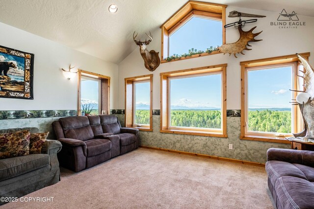 19652 W Blue Goose Rd, Wasilla, AK 99654 - photo 33