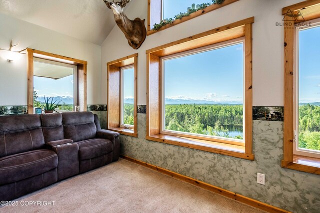 19652 W Blue Goose Rd, Wasilla, AK 99654 - photo 34