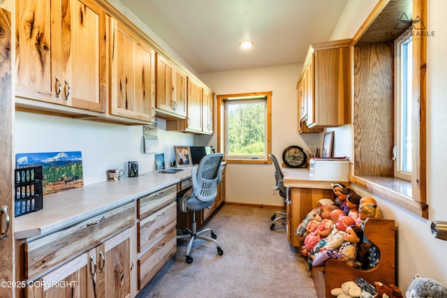 19652 W Blue Goose Rd, Wasilla, AK 99654 - photo 46
