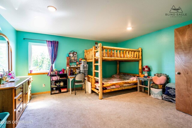 19652 W Blue Goose Rd, Wasilla, AK 99654 - photo 51