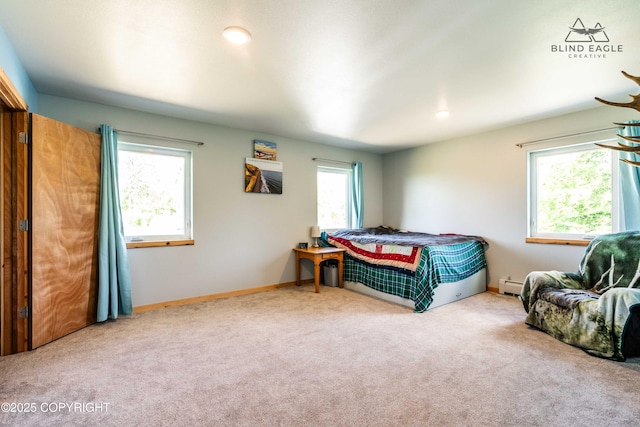 19652 W Blue Goose Rd, Wasilla, AK 99654 - photo 54