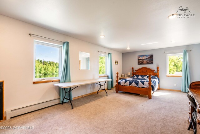 19652 W Blue Goose Rd, Wasilla, AK 99654 - photo 56