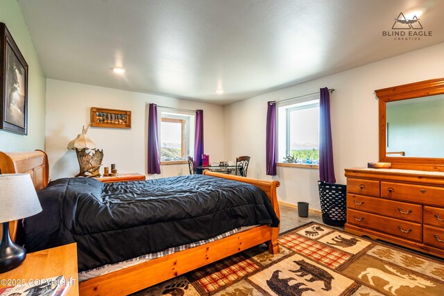 19652 W Blue Goose Rd, Wasilla, AK 99654 - photo 63