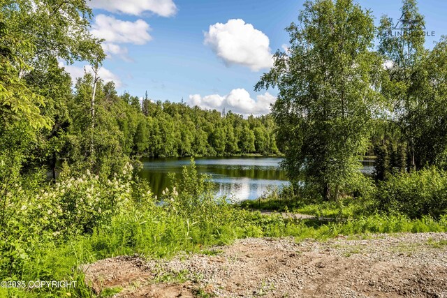 19652 W Blue Goose Rd, Wasilla, AK 99654 - photo 85