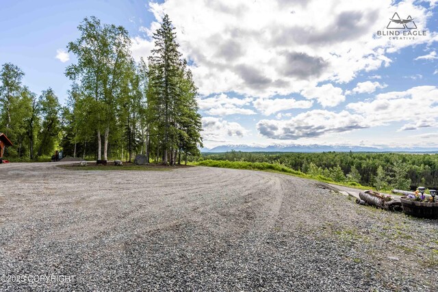 19652 W Blue Goose Rd, Wasilla, AK 99654 - photo 99