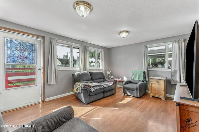 1507 Elmendorf Dr, Anchorage, AK 99504 - living room with light wood-style floors and baseboards