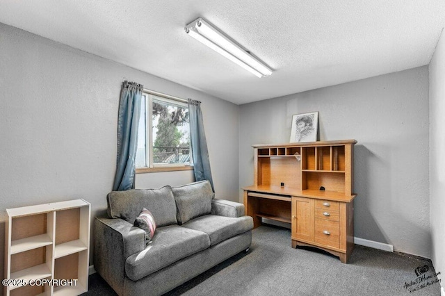 1507 Elmendorf Dr, Anchorage, AK 99504 - carpeted home office featuring a textured ceiling
