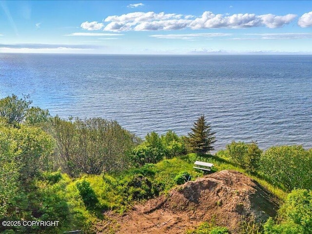 32775 Shorebird Ln, Anchor Point, AK 99556