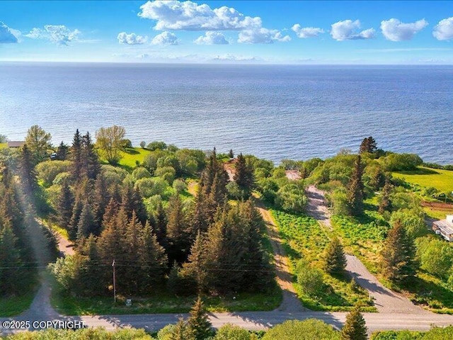 32775 Shorebird Ln, Anchor Point, AK 99556