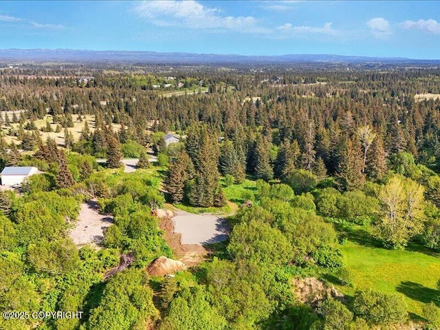 32775 Shorebird Ln, Anchor Point, AK 99556