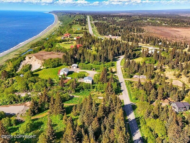 32775 Shorebird Ln, Anchor Point, AK 99556