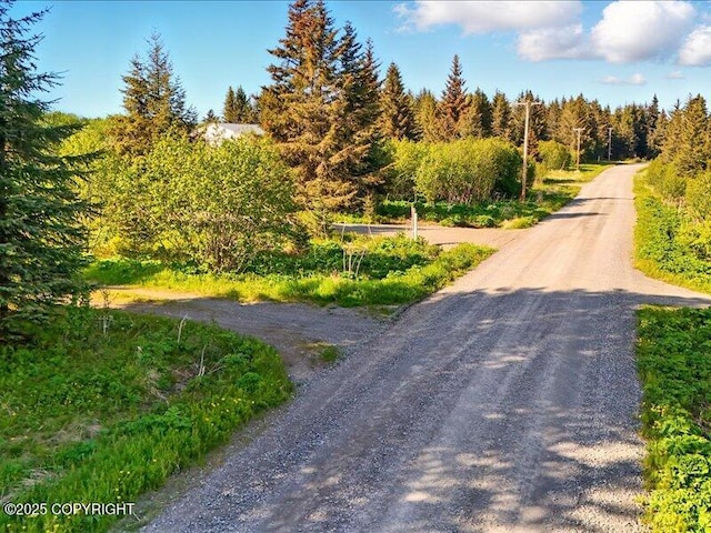 32775 Shorebird Ln, Anchor Point, AK 99556