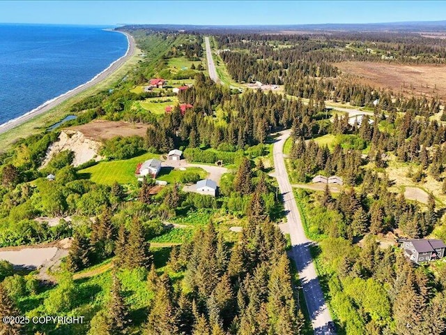 32775 Shorebird Ln, Anchor Point, AK 99556