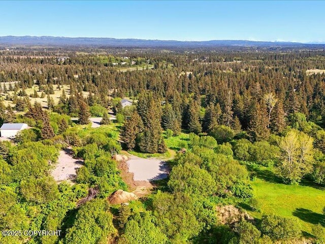 32775 Shorebird Ln, Anchor Point, AK 99556