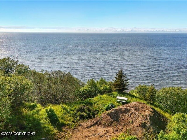 32775 Shorebird Ln, Anchor Point, AK 99556