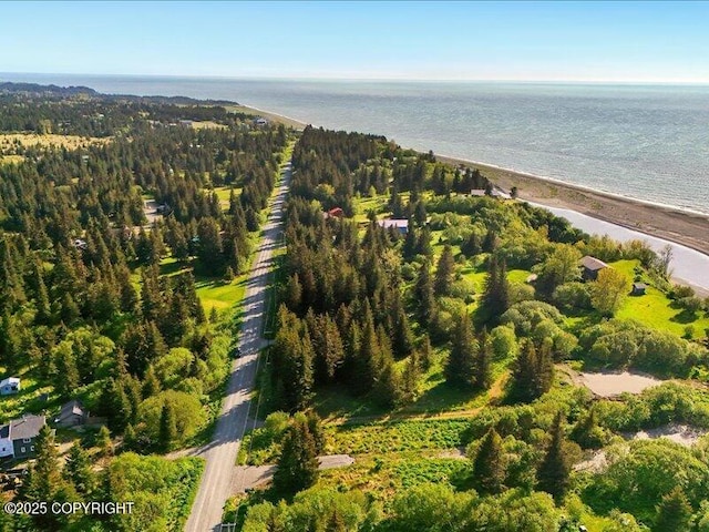 32775 Shorebird Ln, Anchor Point, AK 99556