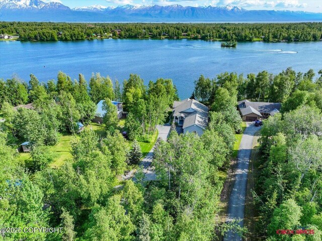 550 W Selina Ln, Wasilla, AK 99654 - photo 50