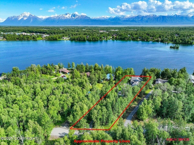 550 W Selina Ln, Wasilla, AK 99654 - photo 51