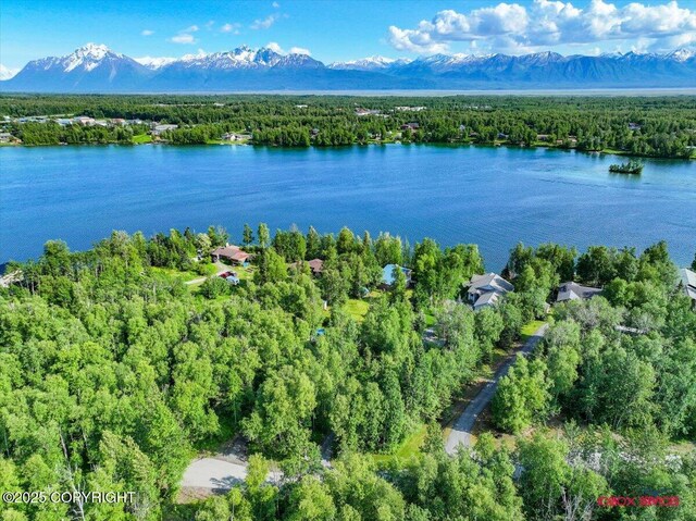 550 W Selina Ln, Wasilla, AK 99654 - photo 52