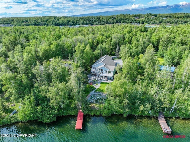550 W Selina Ln, Wasilla, AK 99654 - photo 53