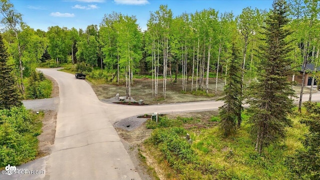 1308 Cunningham Ct, Kenai, AK 99611 - view of community with a view of trees and curved driveway