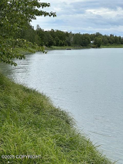 1308 Cunningham Ct, Kenai, AK 99611 - water view featuring a forest