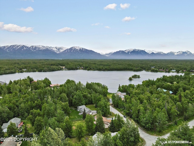 4470 E Birchwood Dr, Wasilla, AK 99654 - aerial view of a water and mountain view and a forest