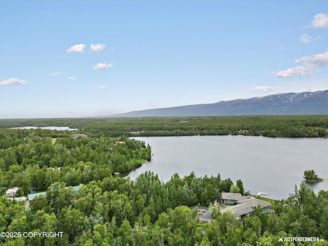 4470 E Birchwood Dr, Wasilla, AK 99654 - water view featuring a heavily wooded area and a mountainous background