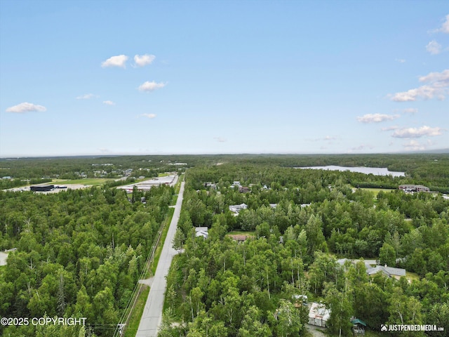 4470 E Birchwood Dr, Wasilla, AK 99654 - bird's eye view of a heavily wooded area