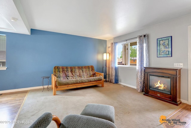 18924 Third St, Eagle River, AK 99577 - living room featuring a glass covered fireplace and wood finished floors