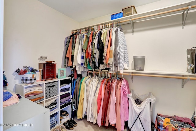 18924 Third St, Eagle River, AK 99577 - view of walk in closet