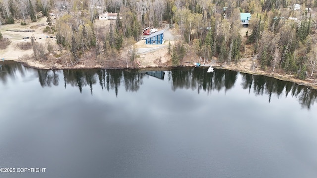 48325 Magic Dragon Ln, Soldotna, AK 99669 - photo 3