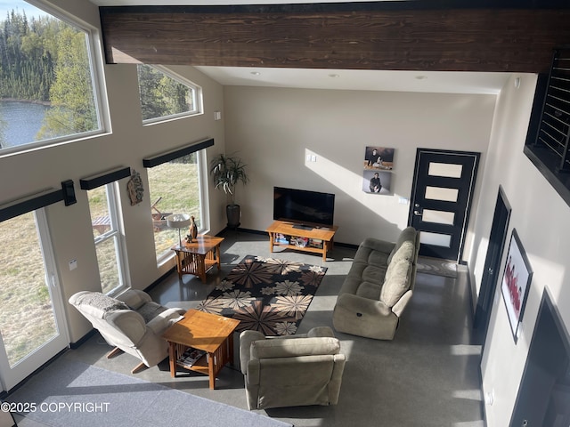 48325 Magic Dragon Ln, Soldotna, AK 99669 - photo 8