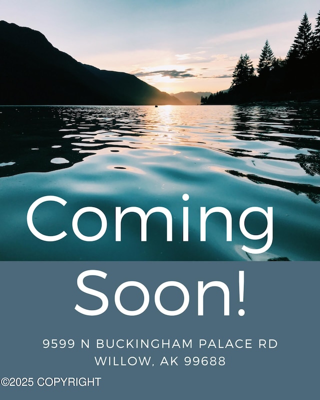 9599 N Buckingham Palace Rd, Willow, AK 99688