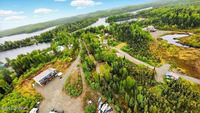 9599 N Buckingham Palace Rd, Willow, AK 99688