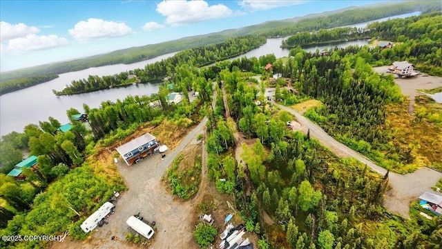 9599 N Buckingham Palace Rd, Willow, AK 99688